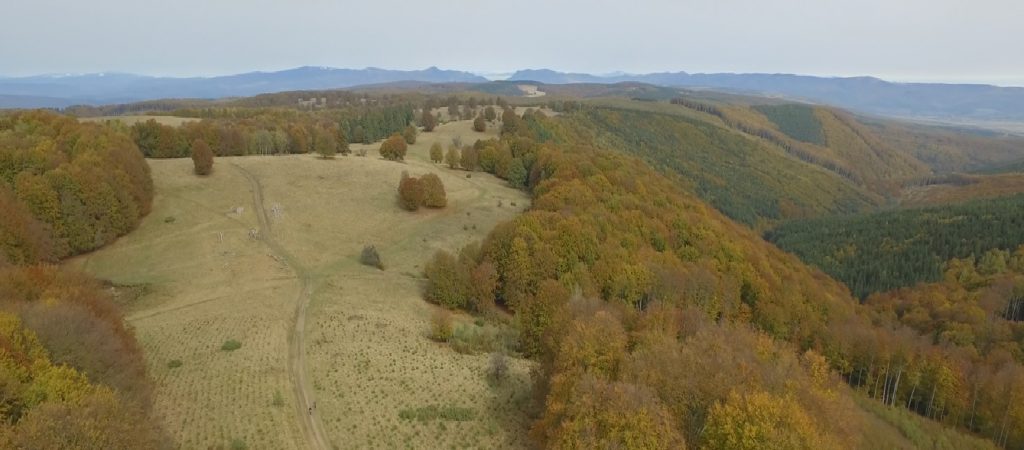 Sepsi Trails